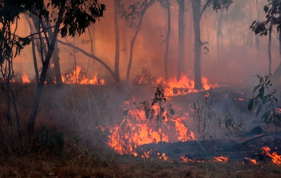 bushfire australia northern territory